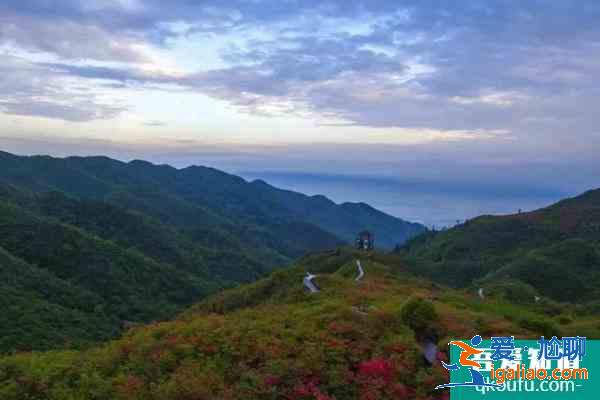 2021大圍山景區暫停開放 恢復時間另外通知？