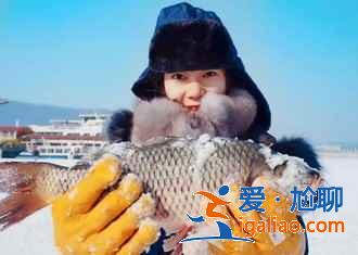 哈爾濱玩幾天合適，哈爾濱冬天玩幾天？