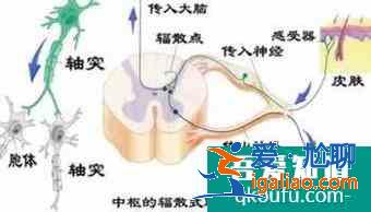 如何區(qū)分條件反射和無(wú)條件反射？？