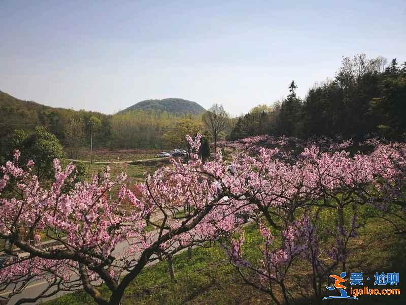 端午節(jié)南京周邊好去處,2019端午節(jié)南京周邊有什么好去處? 端午節(jié)南京周邊好去處,2019端午節(jié)南京周邊有什么好去處?