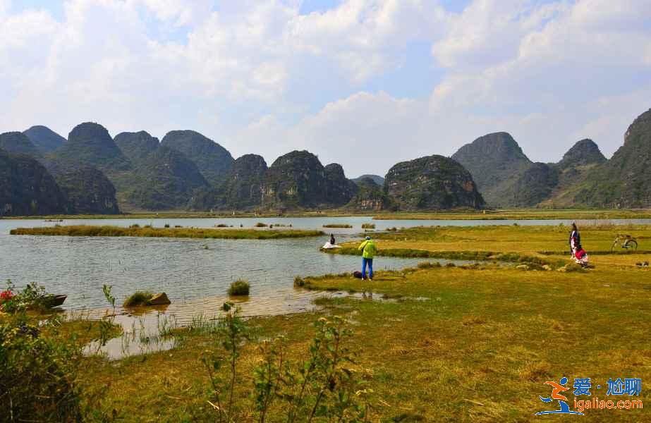 普者黑一日游可以玩哪些景點(diǎn)，普者黑一日游必去景點(diǎn)推薦，普者黑一日游玩攻略？