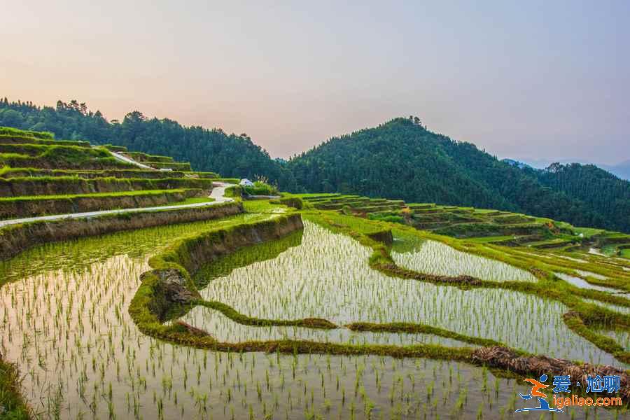 珠海周邊自駕游有哪些好去處，珠海周邊游目的地推薦？