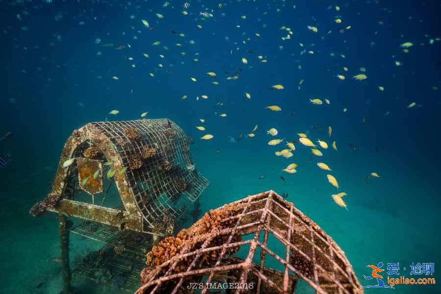 巴厘島有哪些小眾離島,巴厘島小眾離島推薦,巴厘島離島游攻略? 巴厘島有哪些小眾離島,巴厘島小眾離島推薦,巴厘島離島游攻略?