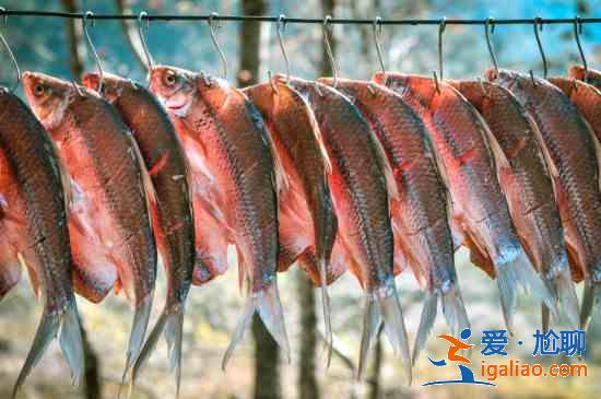 臘魚是什么魚？