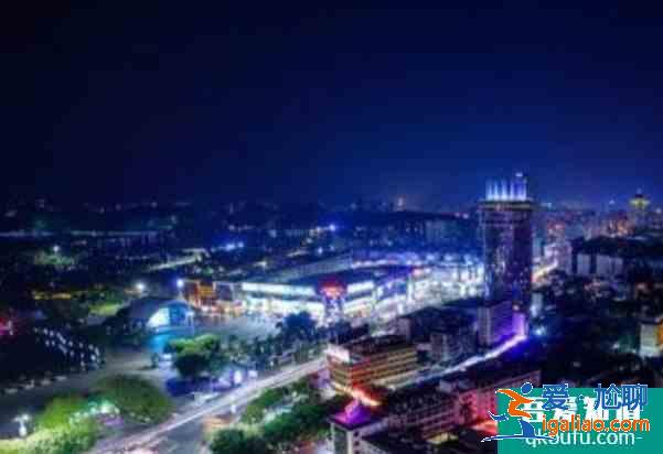 2021珠海迎春花市取消去哪買花？