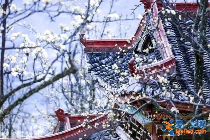 不枉此生系列—【盤點】中國最美古鎮？