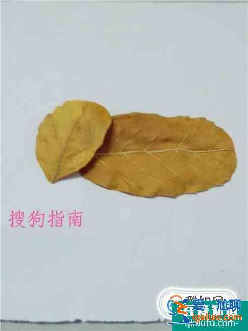 樹葉小兔子怎么做？