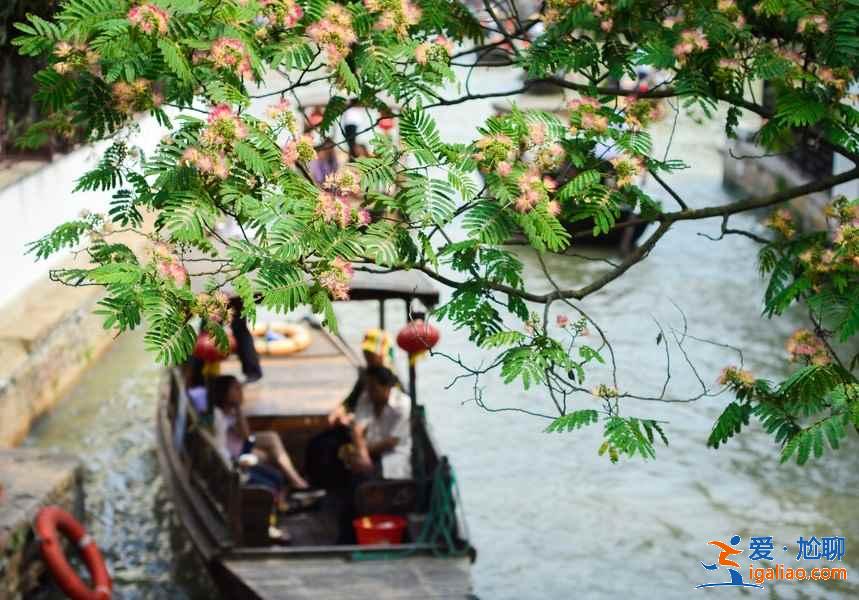 上海怎么玩，2019上海深度游，上海8日路線推薦？
