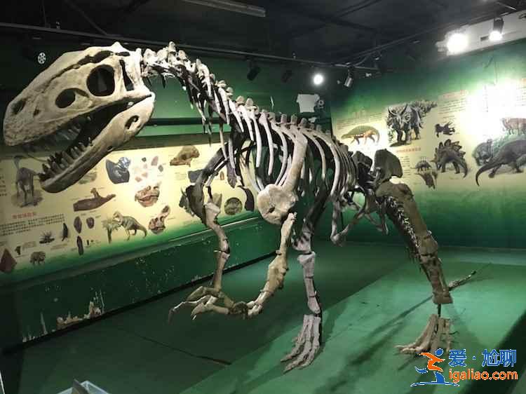 珠海有什么適合親子游的地方，帶孩子去珠海玩有什么景點推薦？