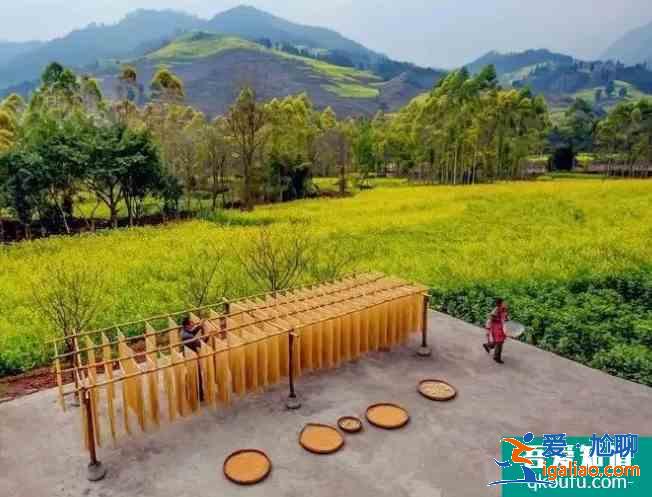 2021屏山中都油菜花在哪里? 2021屏山中都油菜花在哪里?