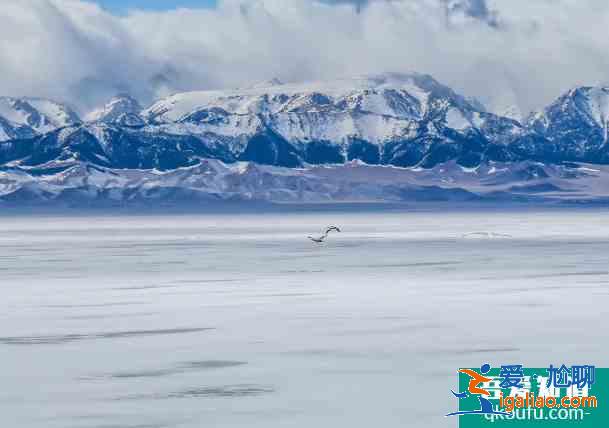 2021過年適合旅游的地方有哪些 2月旅游最佳去處國內？