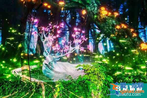 2022深圳元旦跨年哪里有燈光秀 附燈光秀時間？