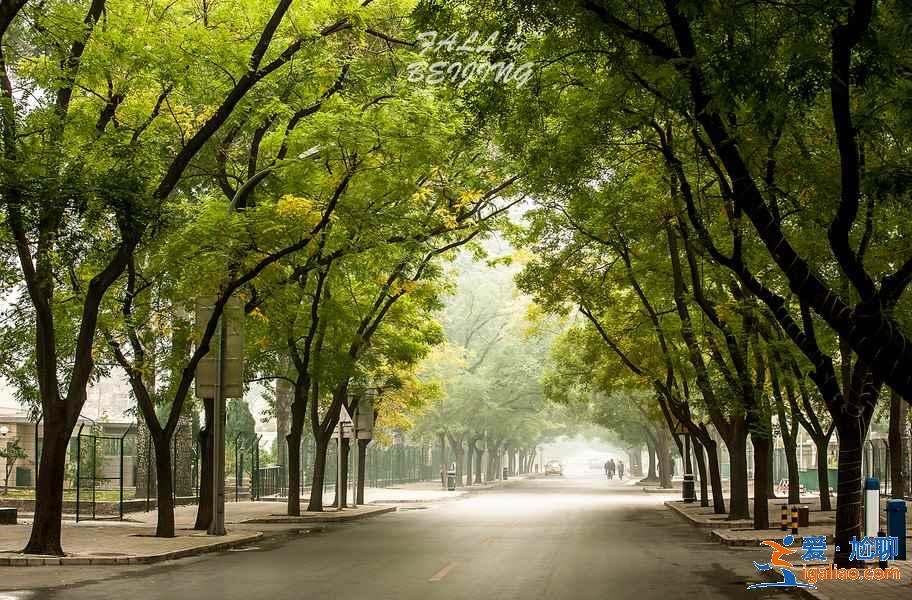 北京旅游注意事項，去北京需要注意什么？