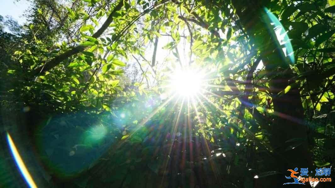 廈門6月份天氣預報,2019廈門六月份穿什么? 廈門6月份天氣預報,2019廈門六月份穿什么?