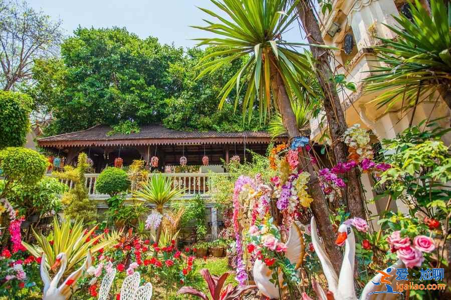 清邁五日游攻略，清邁五日游怎么玩，清邁五日游推薦？