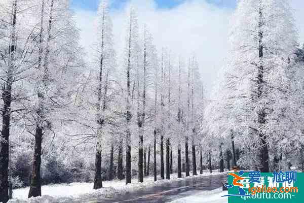 大圍山國家森林公園將于2021年12月31日恢復開放？