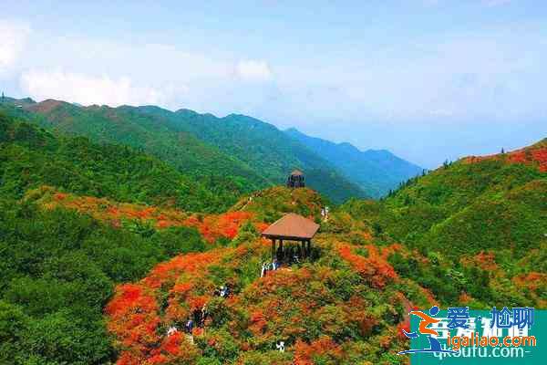 大圍山國家森林公園將于2021年12月31日恢復開放？
