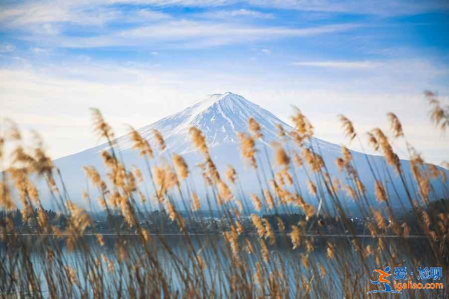 日本最全旅游時間表！日本最佳旅游時間？