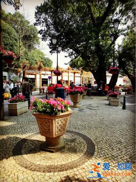 【澳門購物】去澳門買什么劃算,去澳門購物比香港便宜嗎? 【澳門購物】去澳門買什么劃算,去澳門購物比香港便宜嗎?