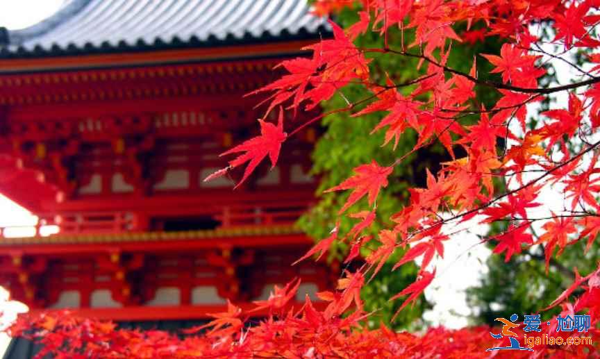 日本最全旅游時間表！日本最佳旅游時間？