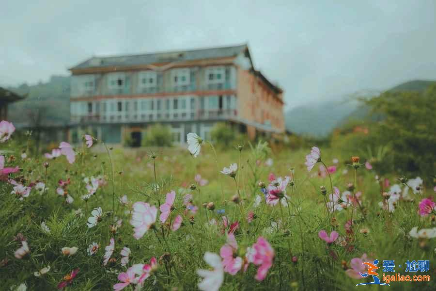 去麗江，下面這幾件事一定不要做！？