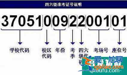 忘記準考證號怎么查四六級分數？