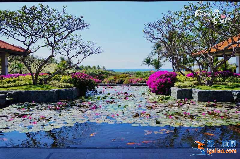 【費用】去巴厘島旅游多少錢，巴厘島自由行花費多少錢？