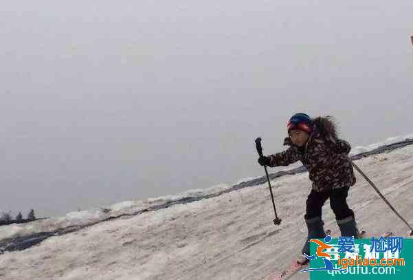 2022濟寧元旦春節燈會和滑雪的地方？