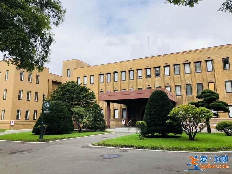 北海道大學可以觀光嗎？北海道大學值得去嗎？北海道大學觀光指南？