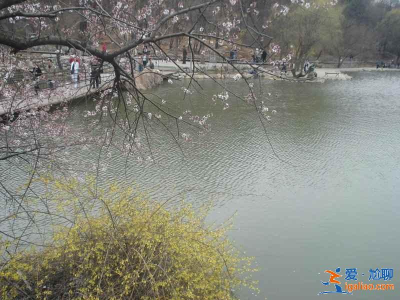 大連春季游玩去哪好，大連春季游玩好去處有哪些，大連踏青攻略？