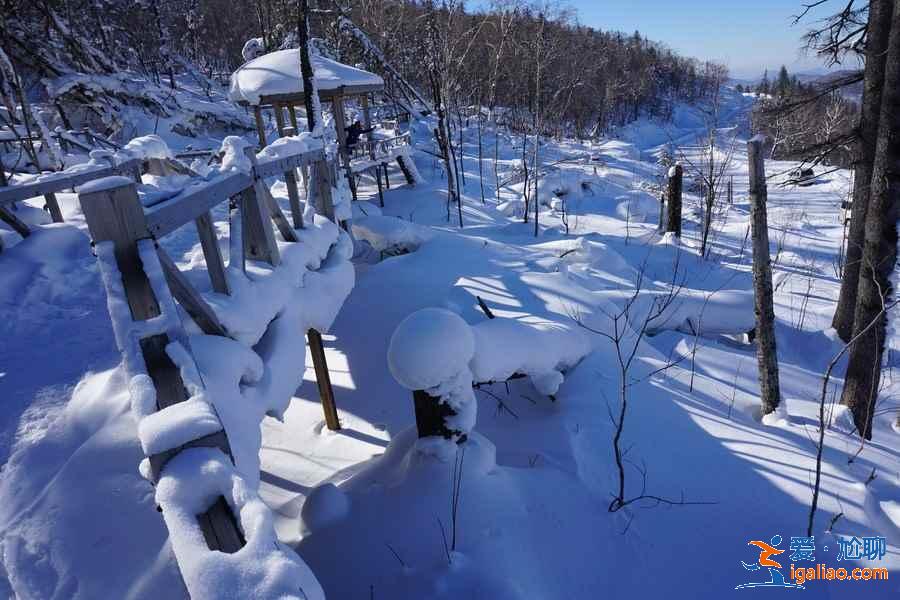 哈爾濱到二浪河怎么去,哈爾濱到二浪河的交通方式? 哈爾濱到二浪河怎么去,哈爾濱到二浪河的交通方式?