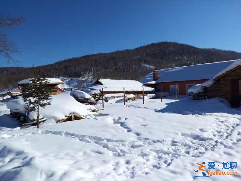 哈爾濱到二浪河怎么去,哈爾濱到二浪河的交通方式? 哈爾濱到二浪河怎么去,哈爾濱到二浪河的交通方式?