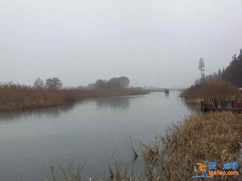 蘇州有哪些適合家庭游的地方，蘇州適合家庭旅游的地方，蘇州家庭游好去處盤點？