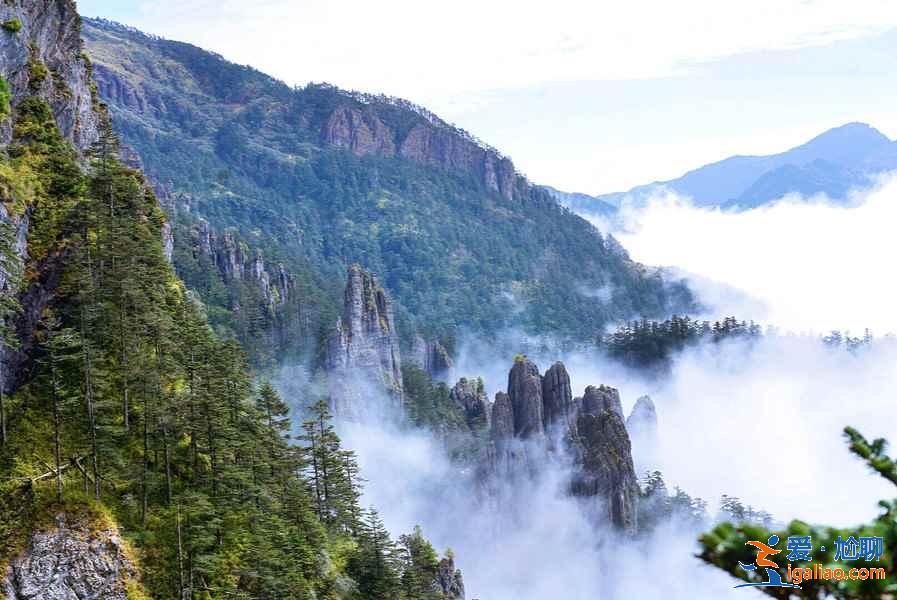 神農(nóng)架有什么好玩的地方，神農(nóng)架有哪些熱門景點(diǎn)，神農(nóng)架熱門景點(diǎn)推薦？