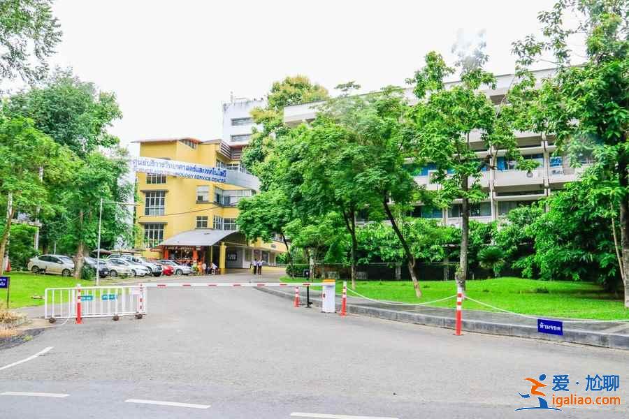 清邁旅游注意事項，清邁旅游小貼士，清邁旅游需要注意什么？