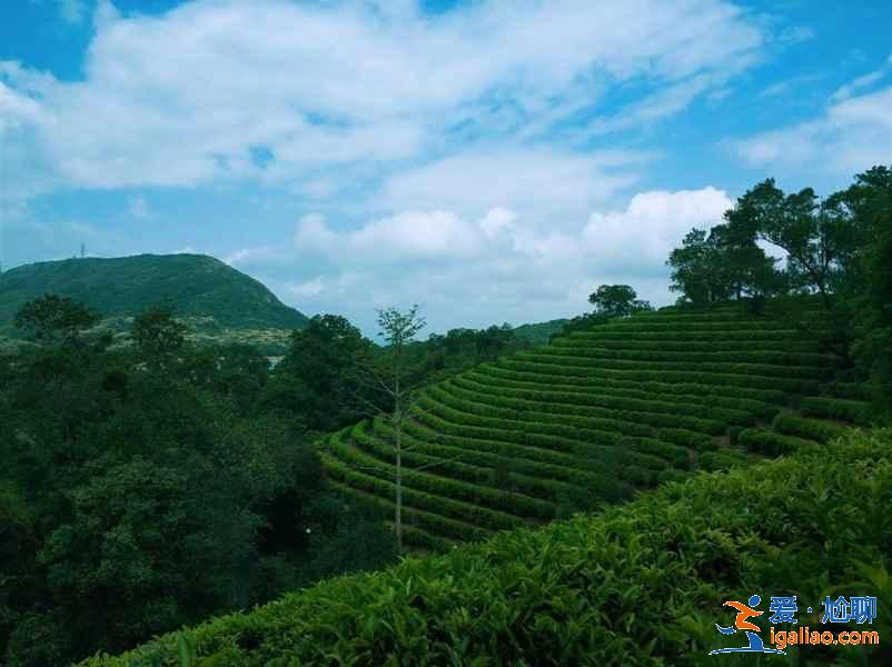 深圳華僑城好玩嗎，深圳東部華僑城二日游？