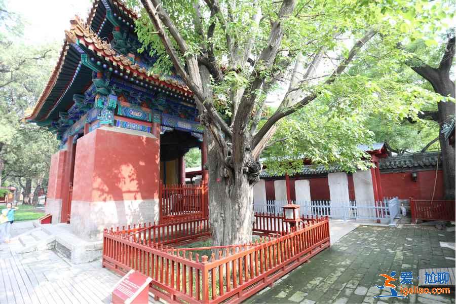 北京文藝購物地有哪些,北京文藝購物地推薦,北京文藝的購物好去處? 北京文藝購物地有哪些,北京文藝購物地推薦,北京文藝的購物好去處?