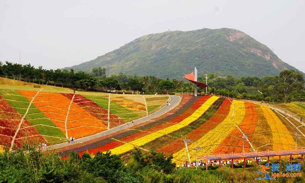 【深圳五一去哪玩】2019深圳五一四天去哪玩，深圳五一放假去哪玩？