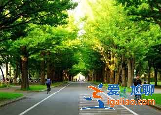 北海道親子游怎么玩,北海道親子游路線推薦,北海道親子游攻略? 北海道親子游怎么玩,北海道親子游路線推薦,北海道親子游攻略?