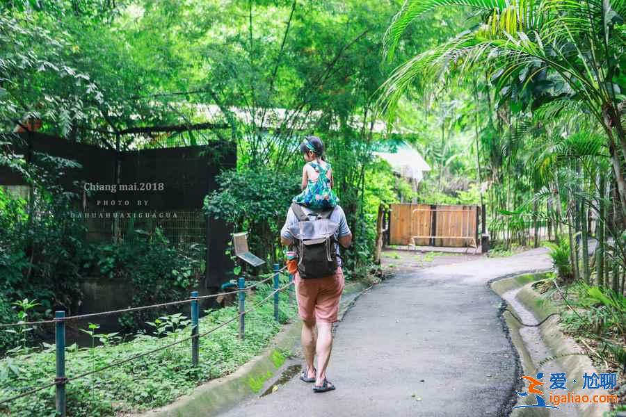 泰國清邁有什么好玩的?清邁哪里比較好玩?清邁游玩攻略指南? 泰國清邁有什么好玩的?清邁哪里比較好玩?清邁游玩攻略指南?