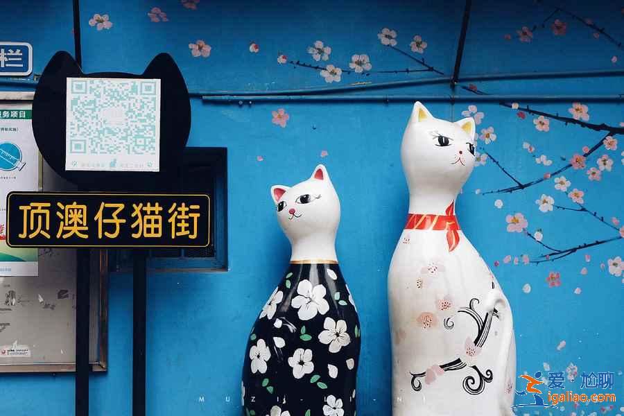 廈門有哪些網(wǎng)紅景點，廈門網(wǎng)紅景點打卡攻略，廈門網(wǎng)紅拍照圣地？