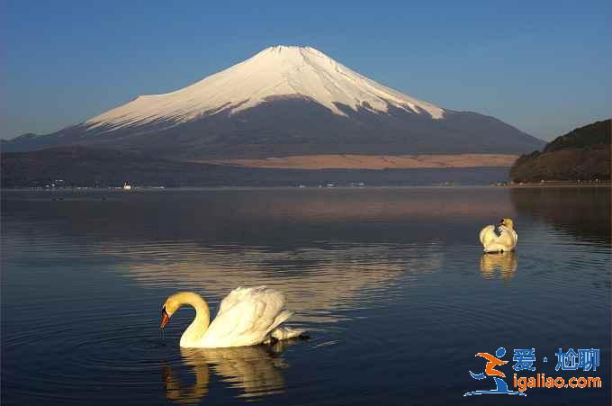 夏天去日本哪里好玩,夏天去日本哪里好? 夏天去日本哪里好玩,夏天去日本哪里好?