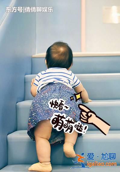 朱丹曬女兒近照，小小丹頭發越來越濃密，胖嘟嘟模樣不輸李奕霆！