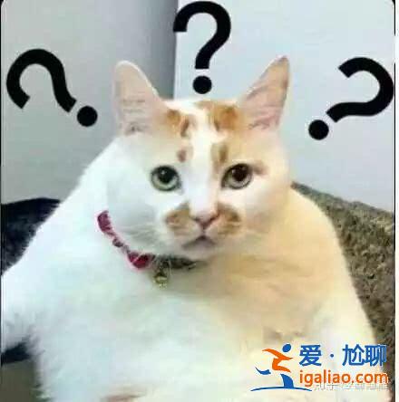 劉歡在芒果節(jié)目中吐槽芒果臺被贊耿直,論耿直這些明星不輸給劉歡