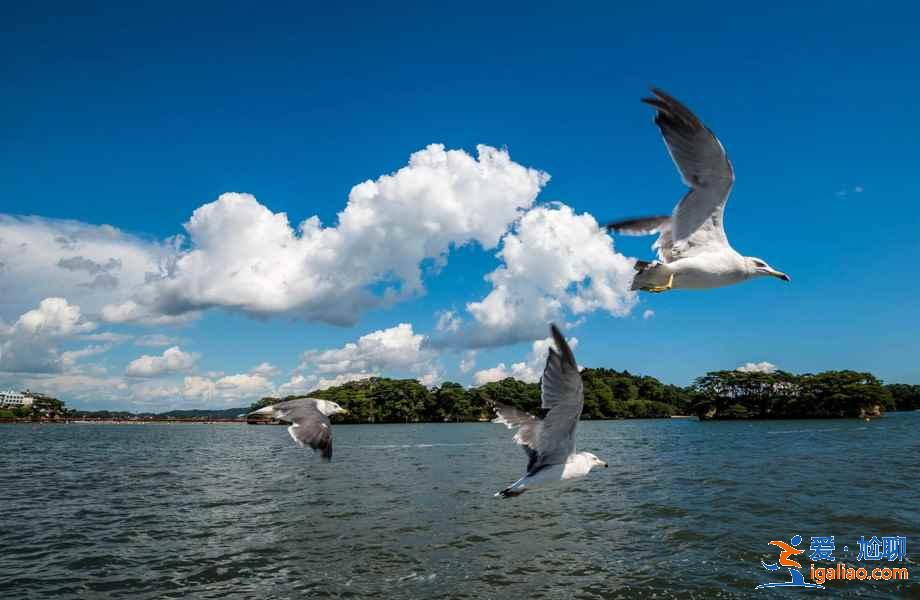 日本三景,去日本旅游不可錯過!? 日本三景,去日本旅游不可錯過!?