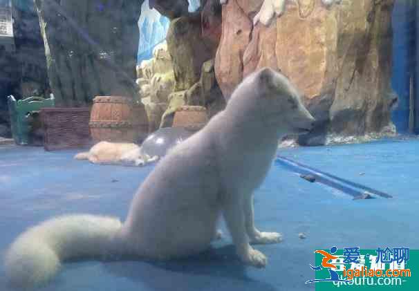 南寧元旦去哪里玩比較好 游玩地點推薦？