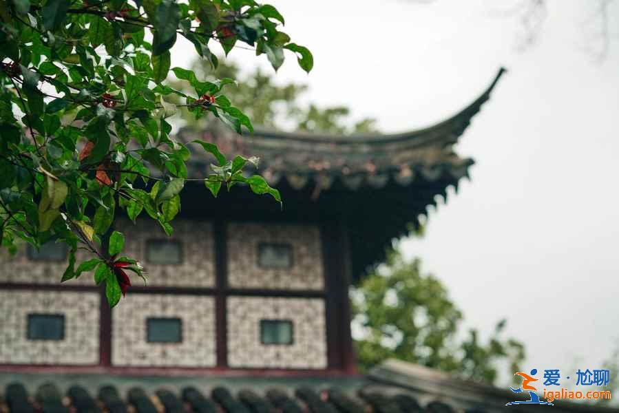 蘇州園林哪個最值得去，蘇州園林游玩攻略？
