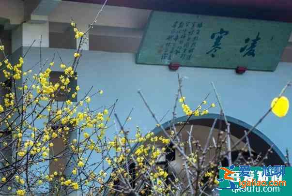 2022無錫梅園梅花開了嗎 具體開放時間？