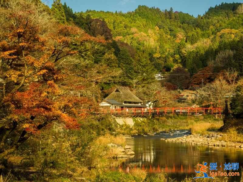 日本紅葉正當時,再不去就真的來不及了!? 日本紅葉正當時,再不去就真的來不及了!?