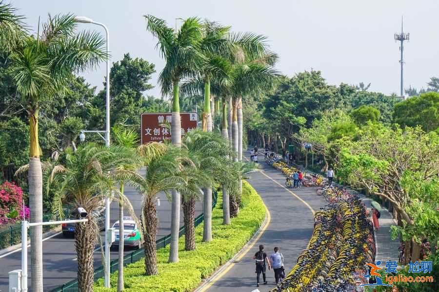廈門必游景點有哪些，廈門熱門打卡景點盤點，廈門旅游攻略？
